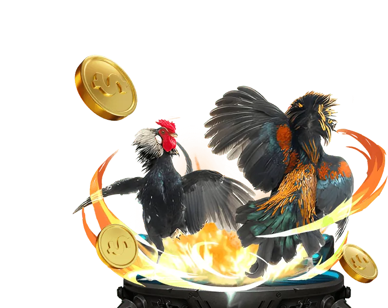 Cá cược bóng đá hi8823 game